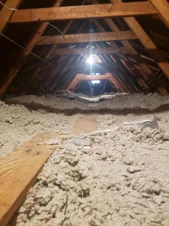 Mold In attic