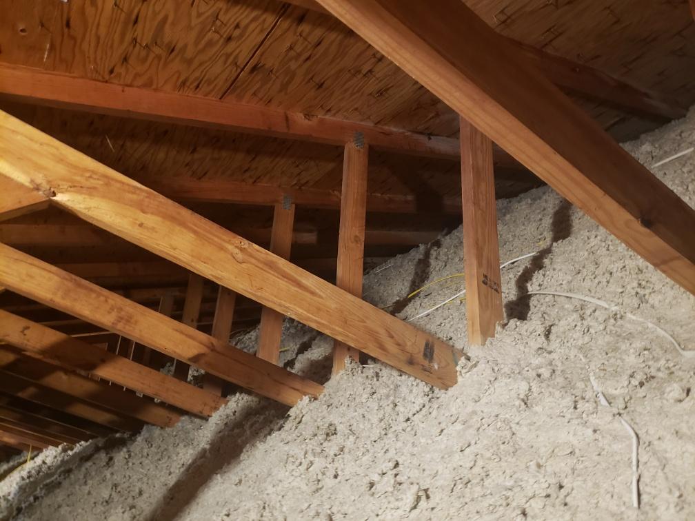 attic-mold-remediation-pg-county-maryland-superior-damage-restoration_