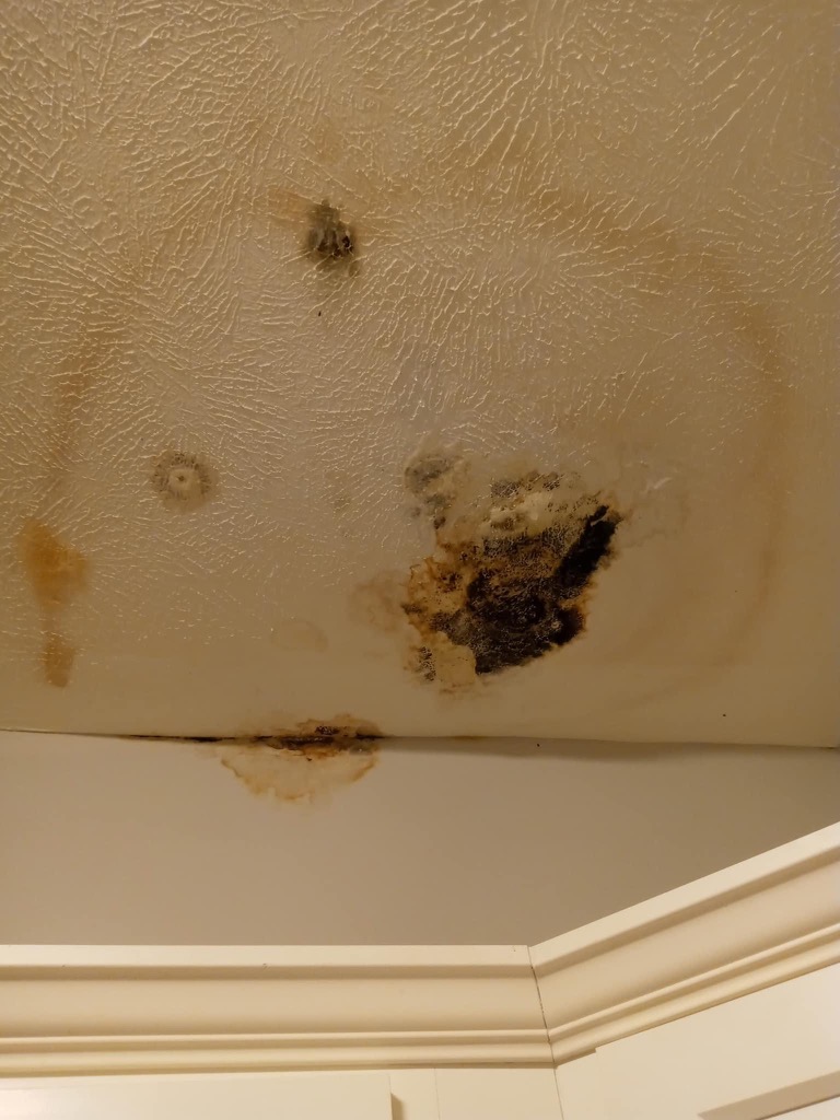 Get Rid Of BLACK MOLD On Bathroom Ceiling Superior Restoration