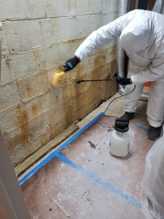 Superior damage restoration technician in a job site working on mold remediation removal project